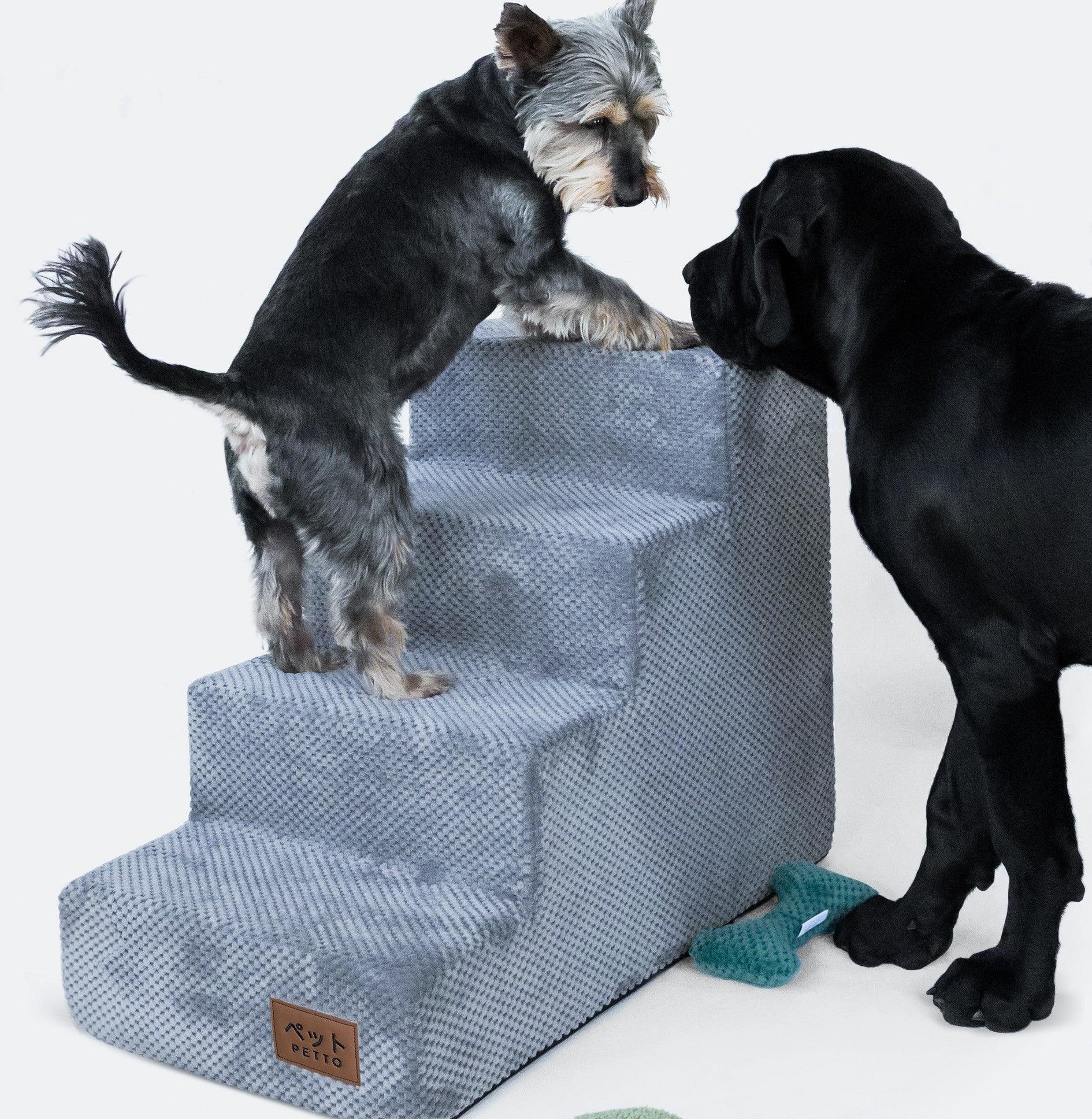 Schodki dla psa Takai – Wygodne i Bezpieczne Rozwiązanie Dla Twojego Pupila - Petto - Premium gear for your dog and cat. European made