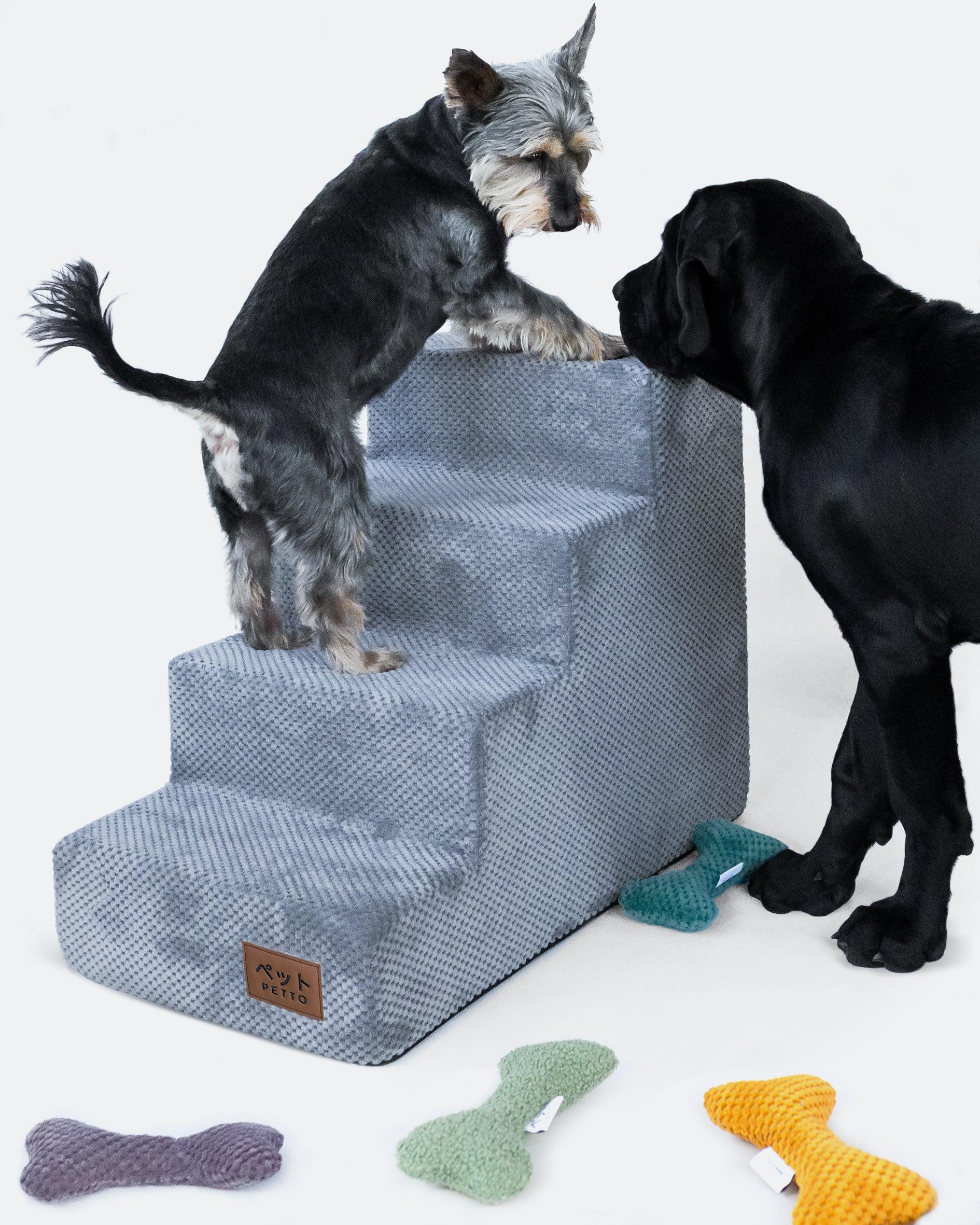 PETTO Schodki dla psa Takai 4 stopnie grafitowe - Petto - Premium gear for your dog and cat. European made