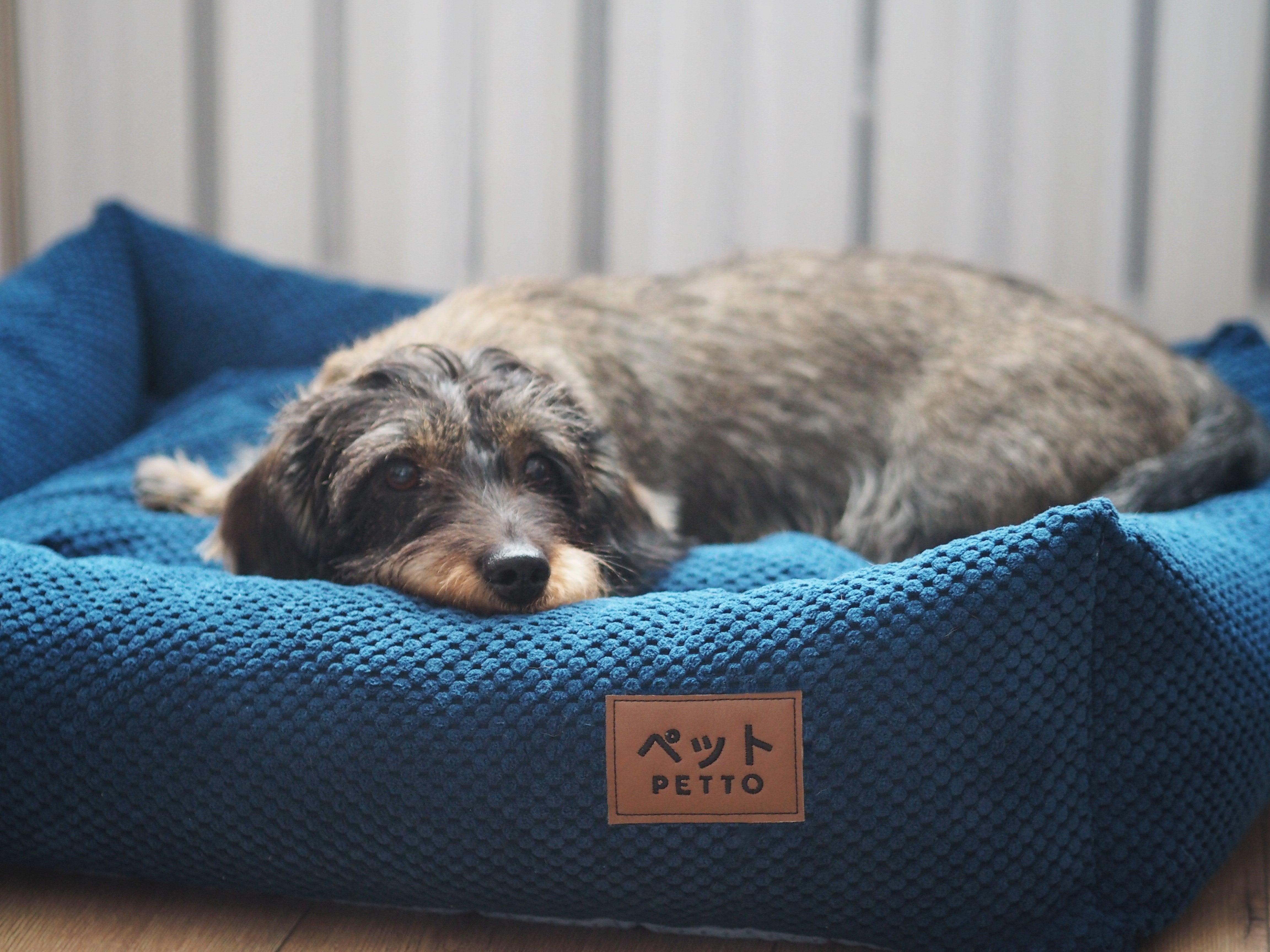 PETTO Osaka legowisko dla psów granatowe - Petto - Premium gear for your dog and cat. European made
