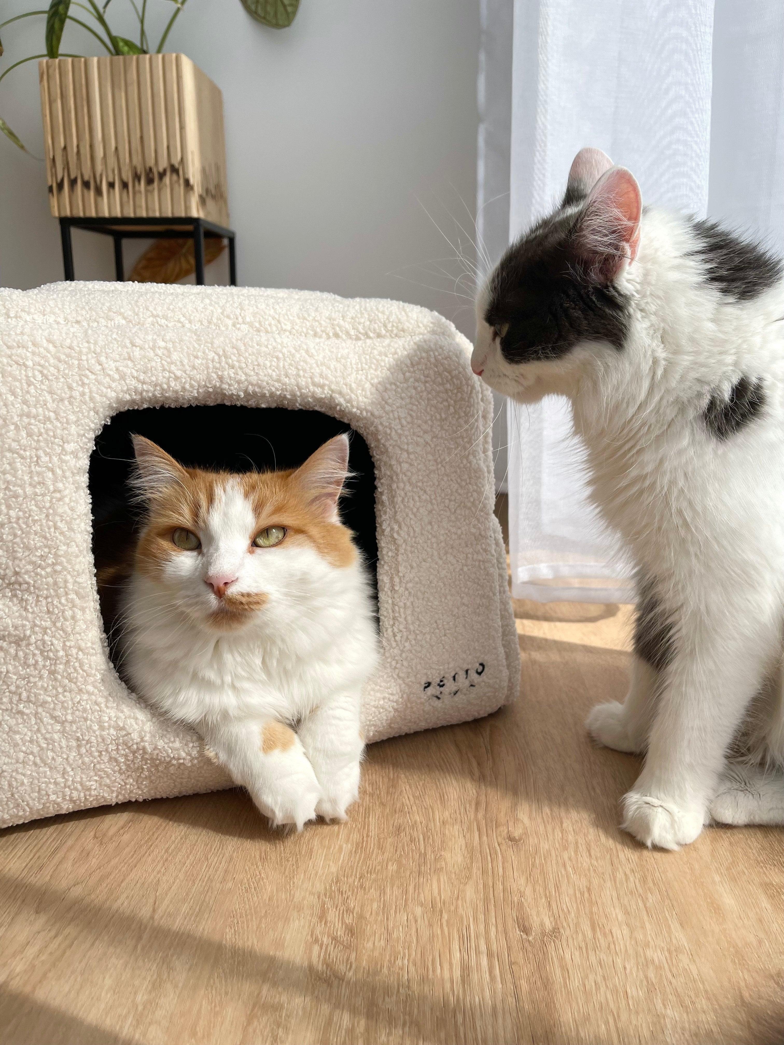 PETTO Domek legowisko 2w1 Uchi Cozy Ecru - Petto - Premium gear for your dog and cat. European made