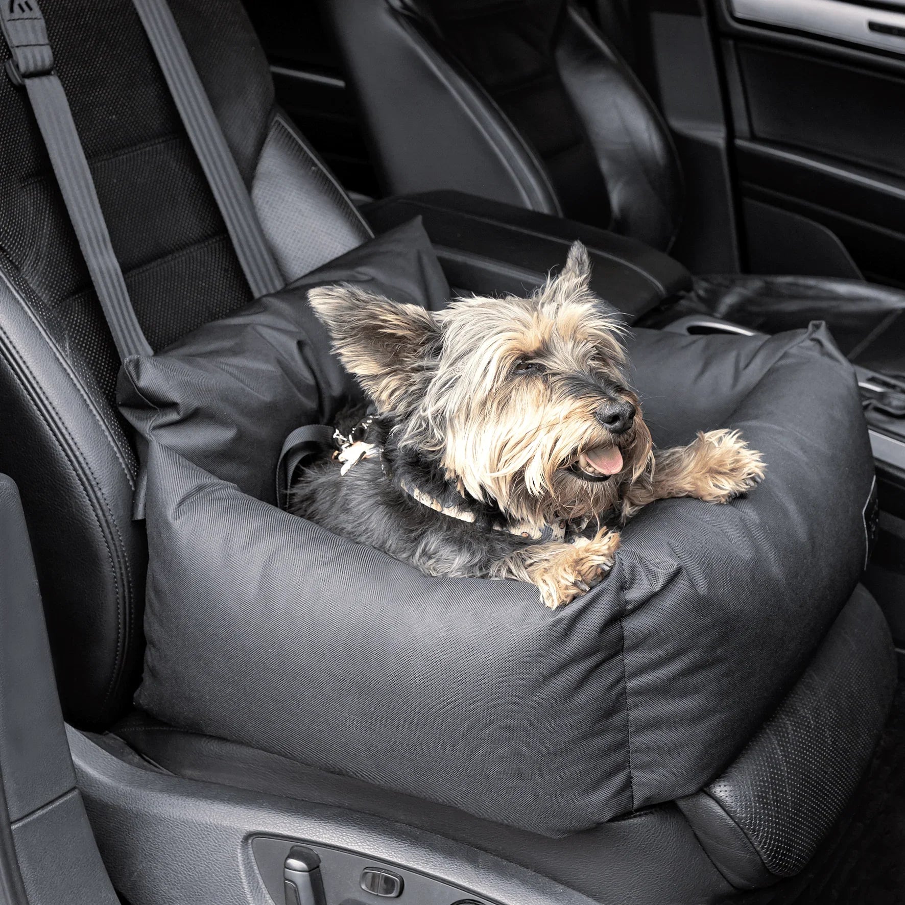 Fotelik dla psa Petto Oi Active Czarny