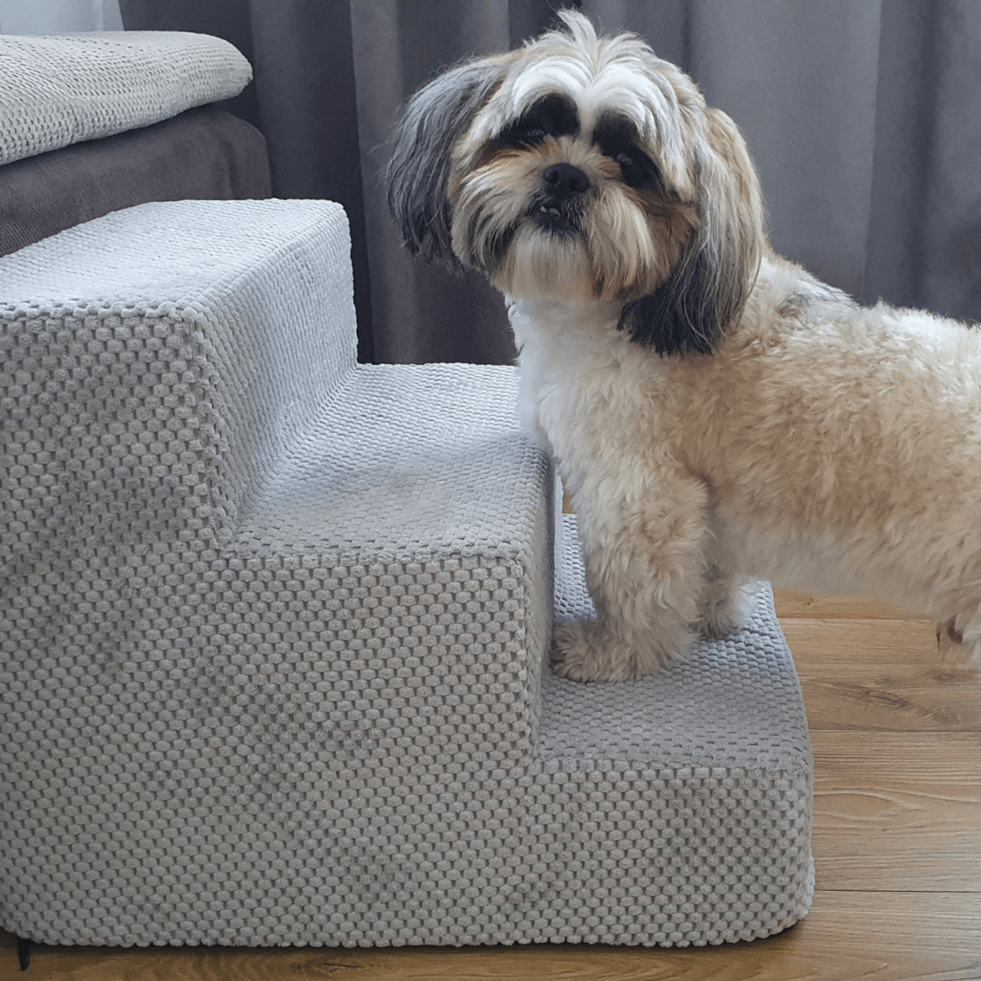 PETTO Hundetreppe Takai 3 Stufen Grau