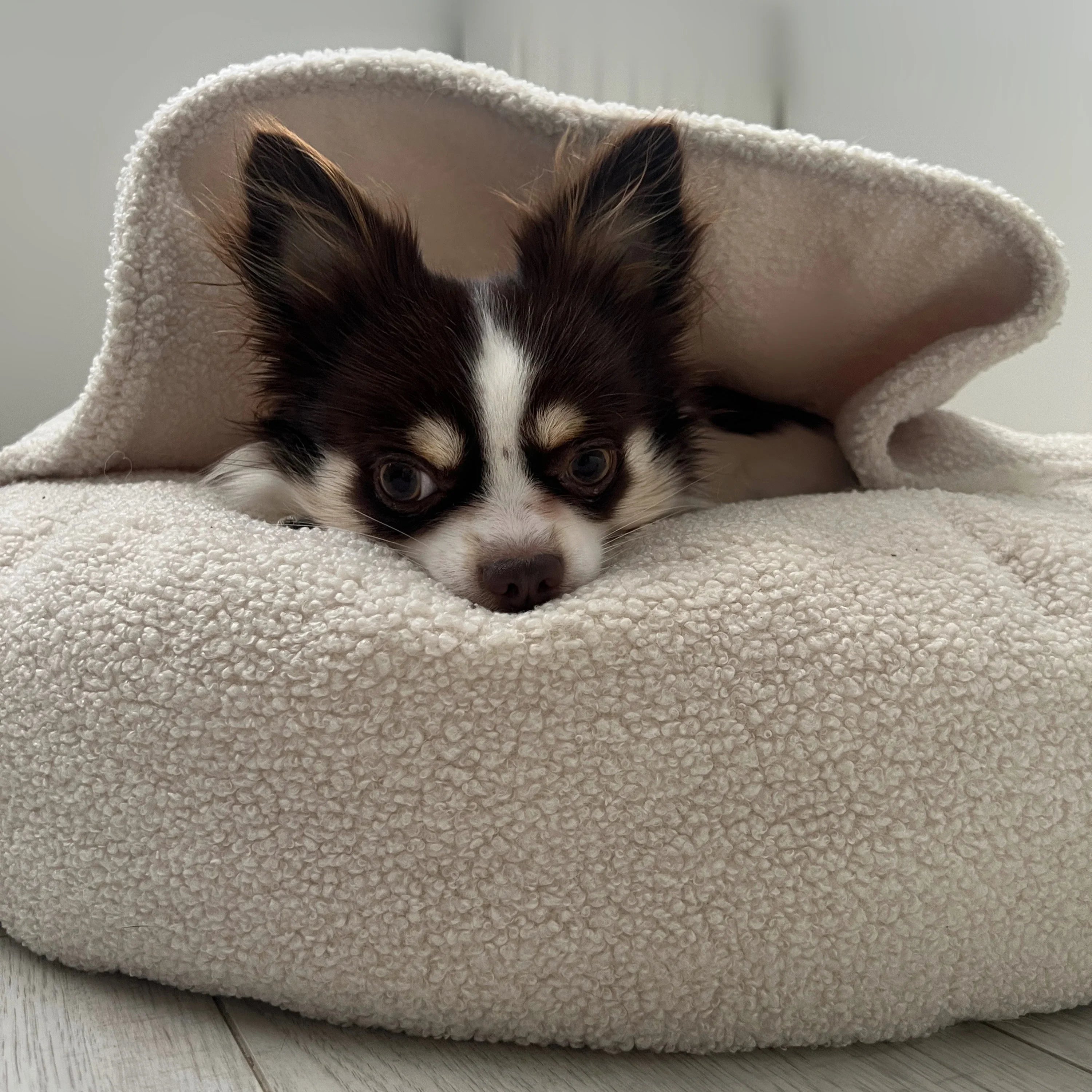 PETTO Minku Cozy Ecru legowisko norka dla psa