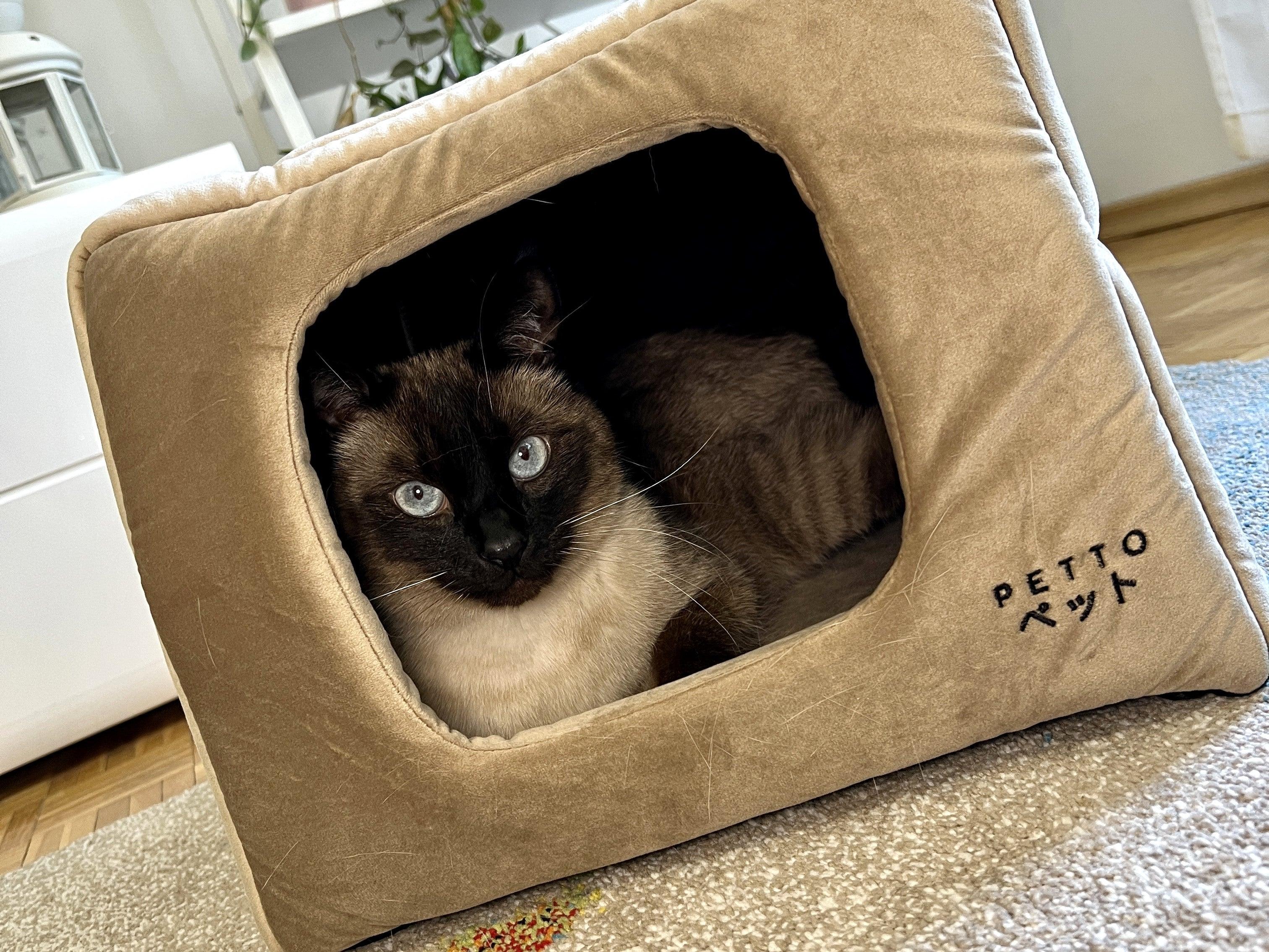 PETTO Domek legowisko 2w1 Uchi Velvet Beżowy - Petto - Premium gear for your dog and cat. European made
